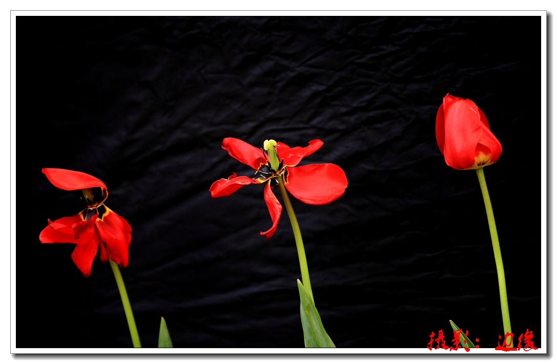 IMG_4080.jpg