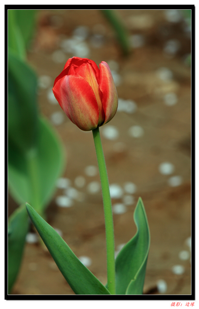 IMG_4849a.jpg