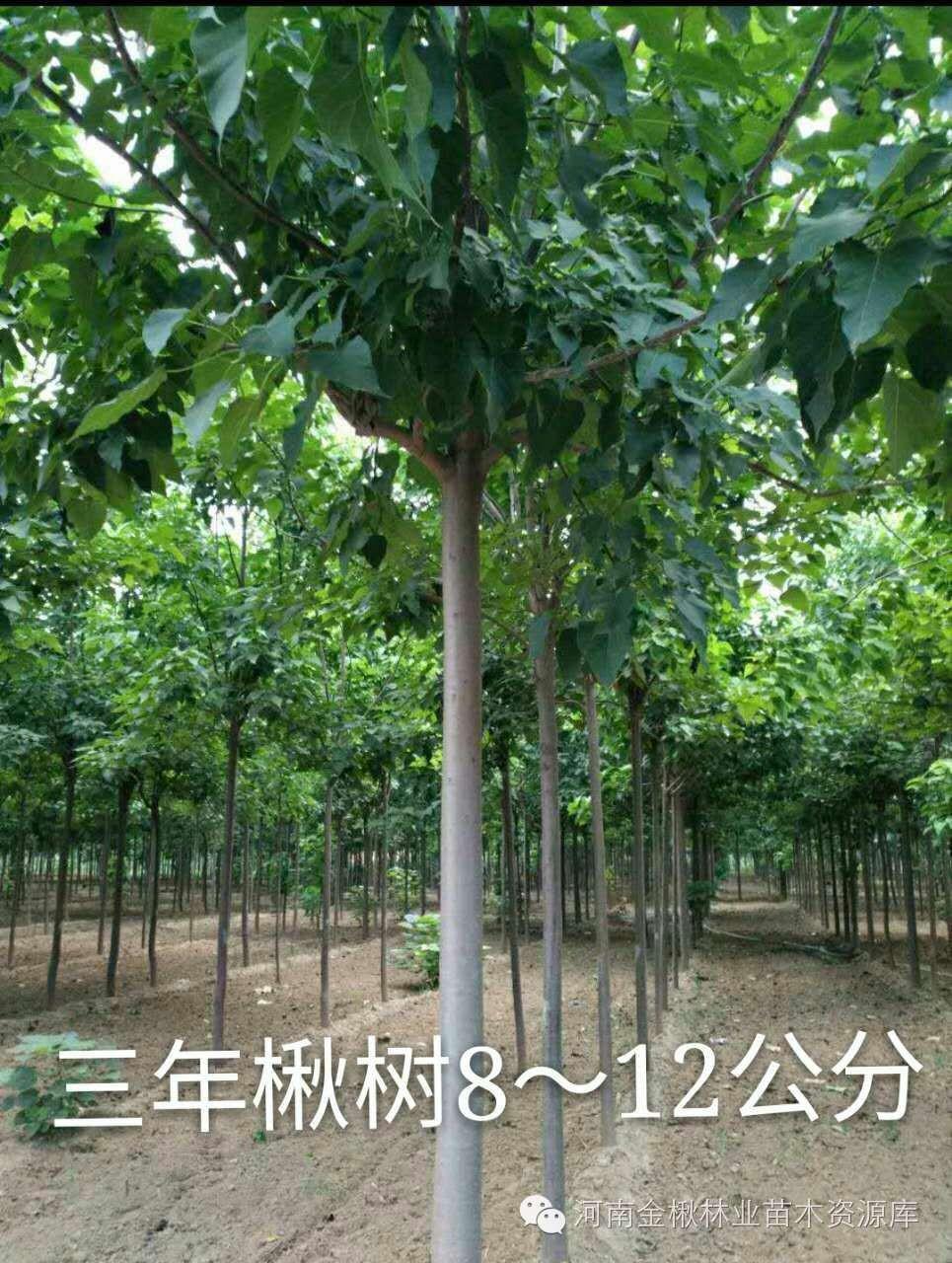 图片8.jpg