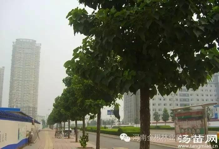 图片10.jpg