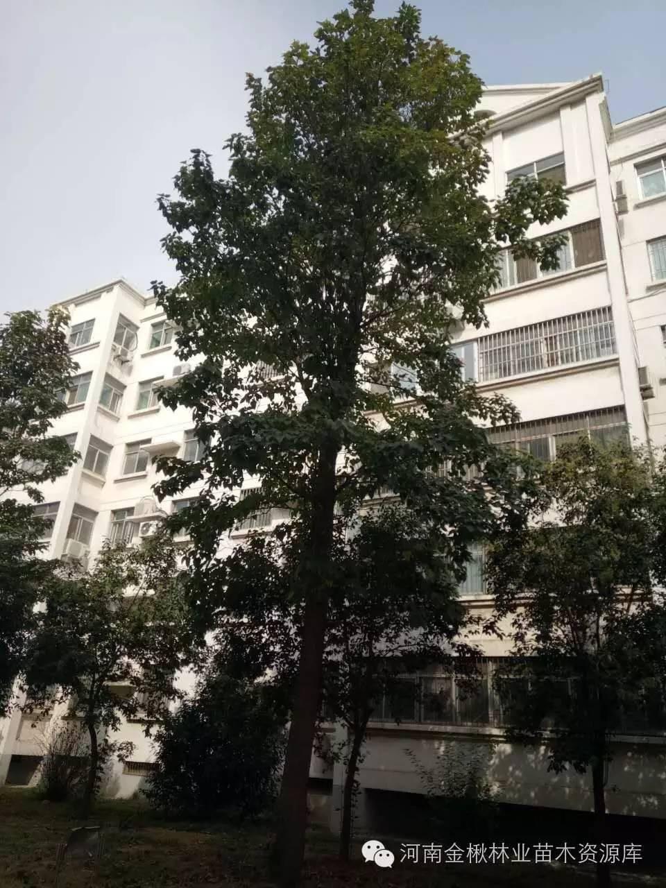 图片7.jpg