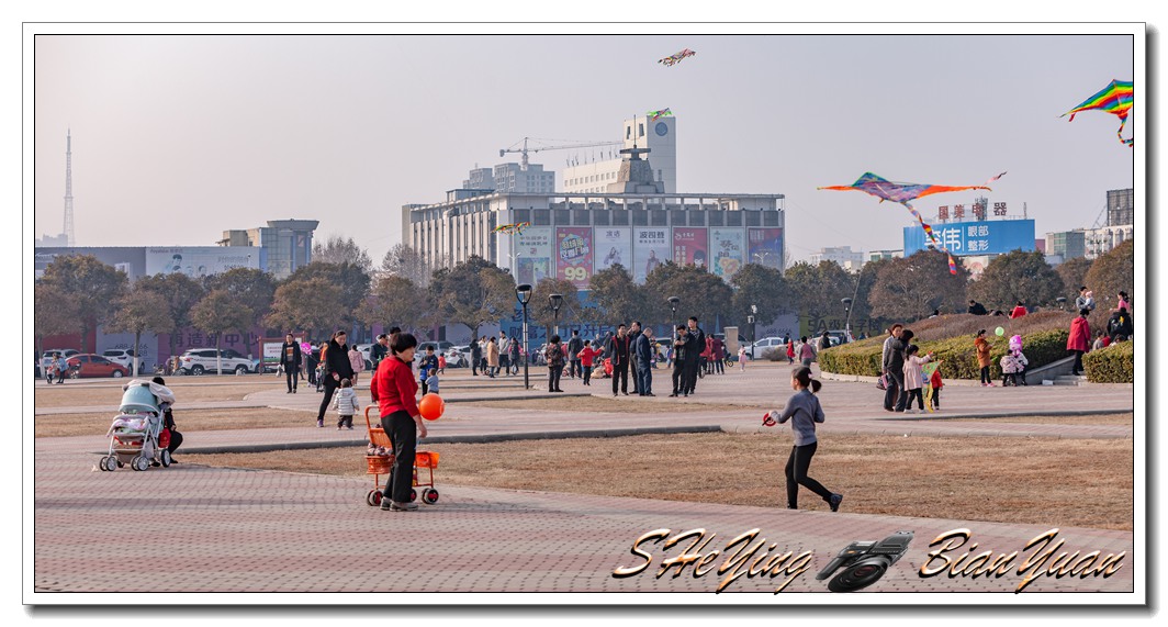 _MG_8792.jpg